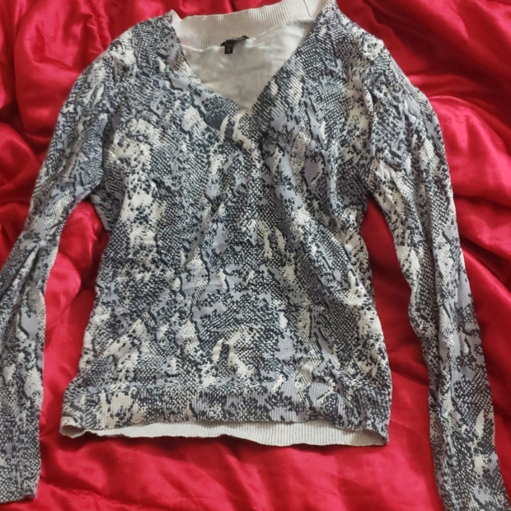 Express Snakeskin V- Neck Sweater